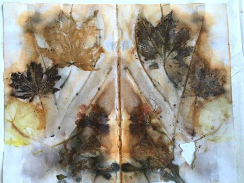 顯示您的EcoPrint