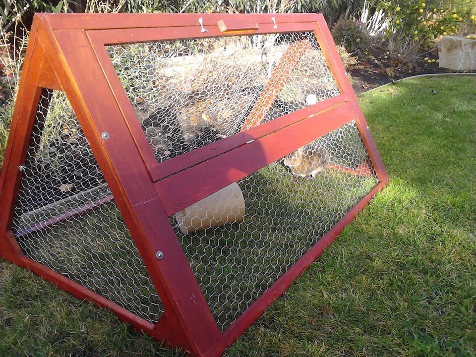 rabbit tractor