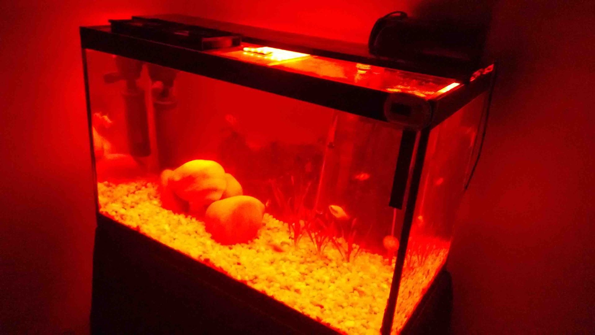 Aquarium LED Lighting 5 Steps Instructables