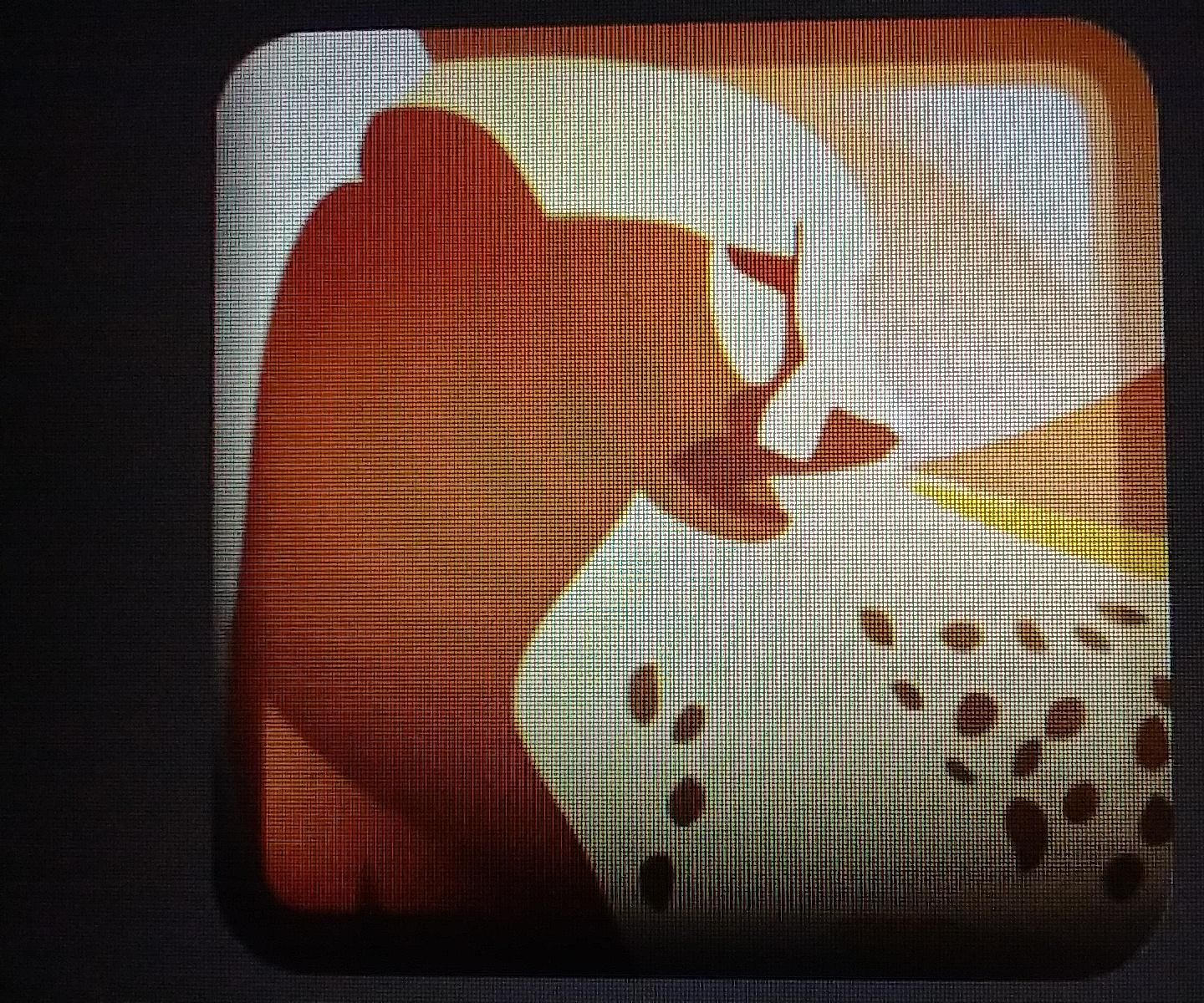 Golden Cheetah Get Riding Quickly : 4 