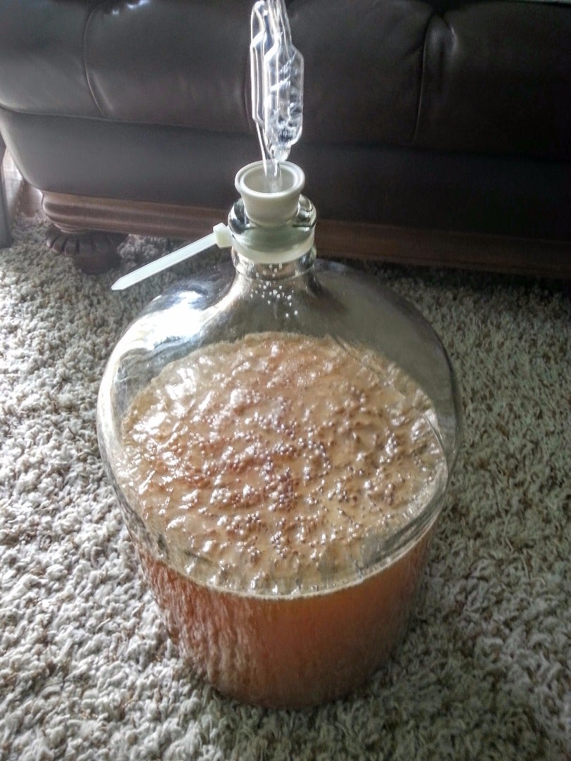 Alcoholic Ginger Beer 4 Steps (with Pictures) Instructables