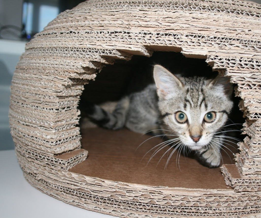 DIY guide for Cardboard Cat Igloo House with step-by-step instructions