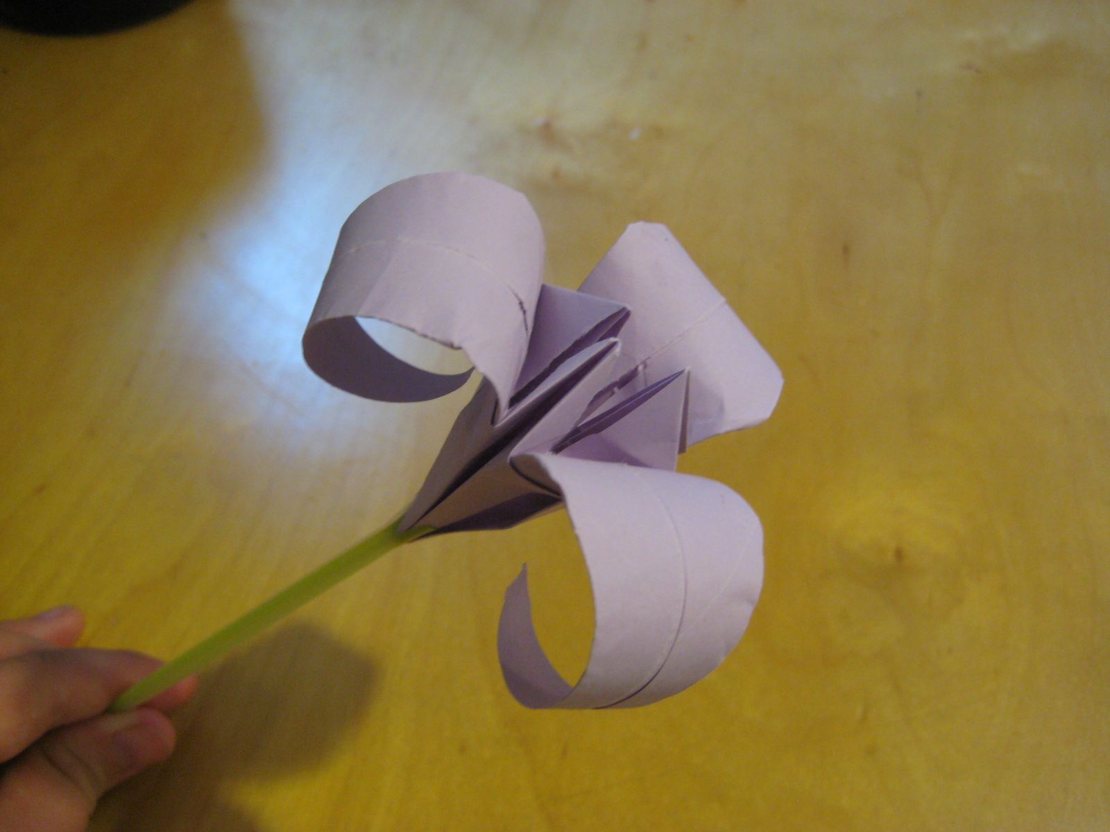 3 petal iris DIY Project DIY Project Image