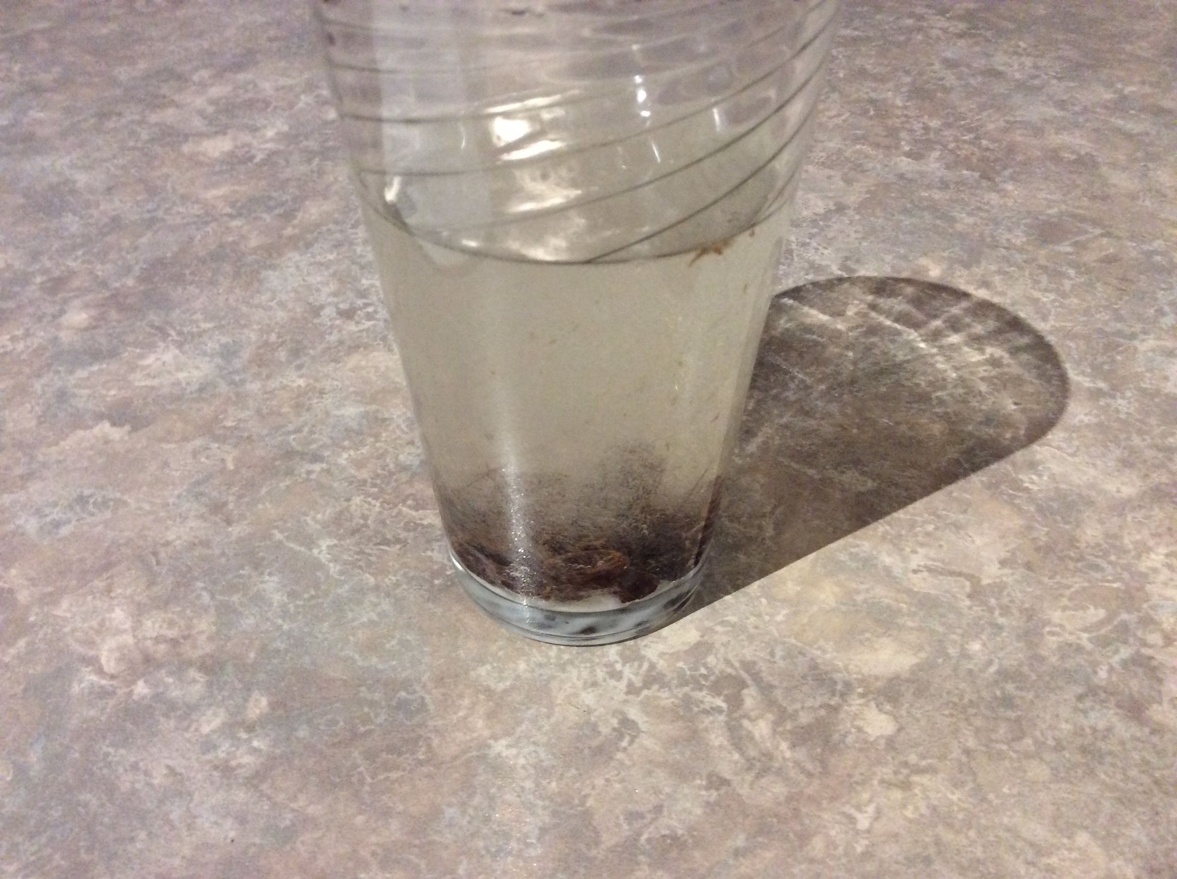 The Dancing Raisins Experiment 4 Steps (with Pictures) Instructables