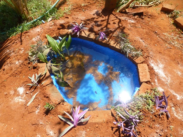 Constructing A Small Fish Pond In The Garden 23 Steps With Pictures Instructables Small Fish Pond In The Garden, How To Make A Small Fish Pond In Your Garden