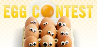 Egg Contest