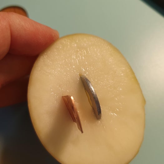 Cut Potato in Half, Insert Copper and Zinc Coated Washer