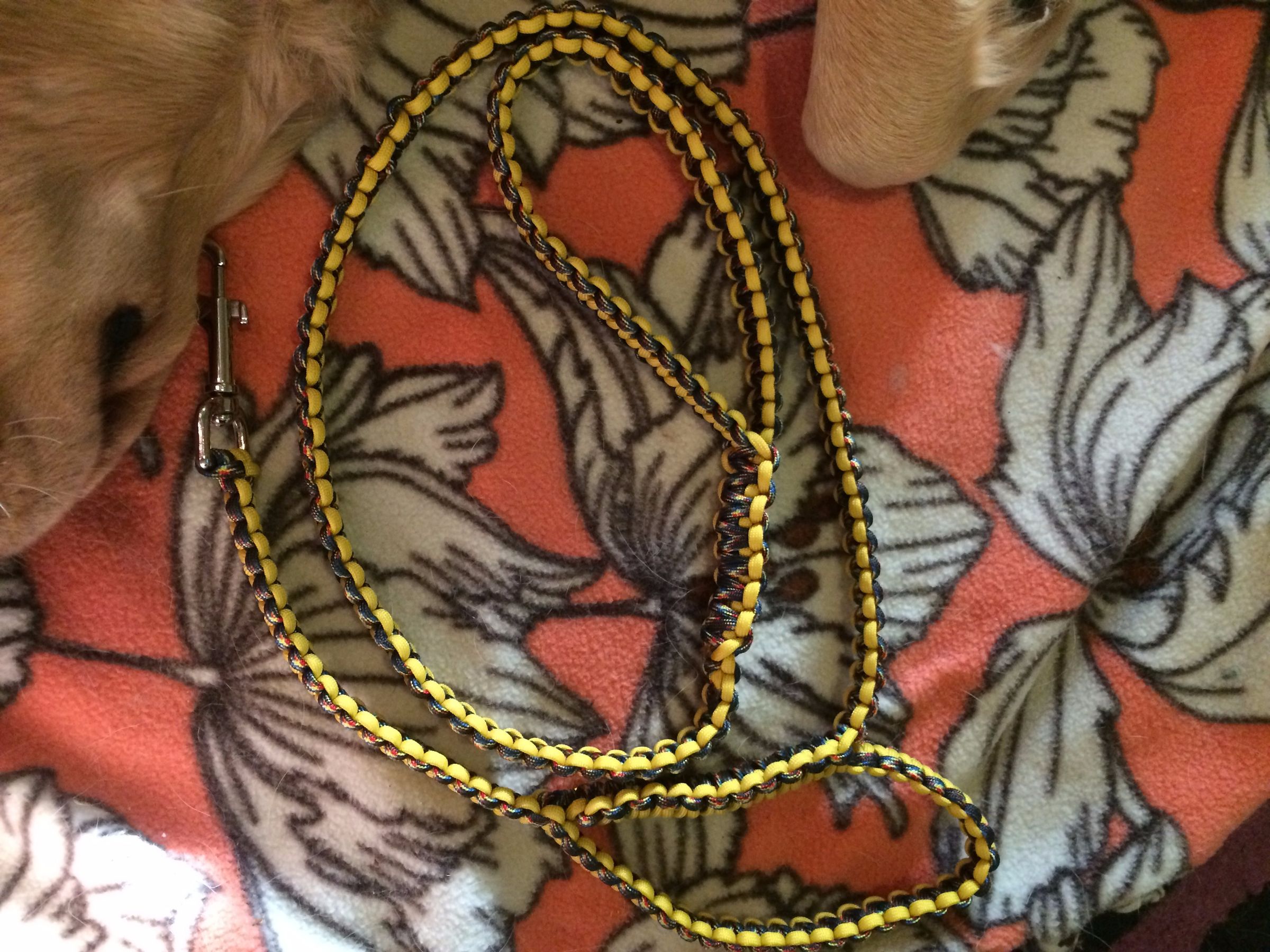 2 handle leash