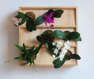 Vertical Orchid Planter