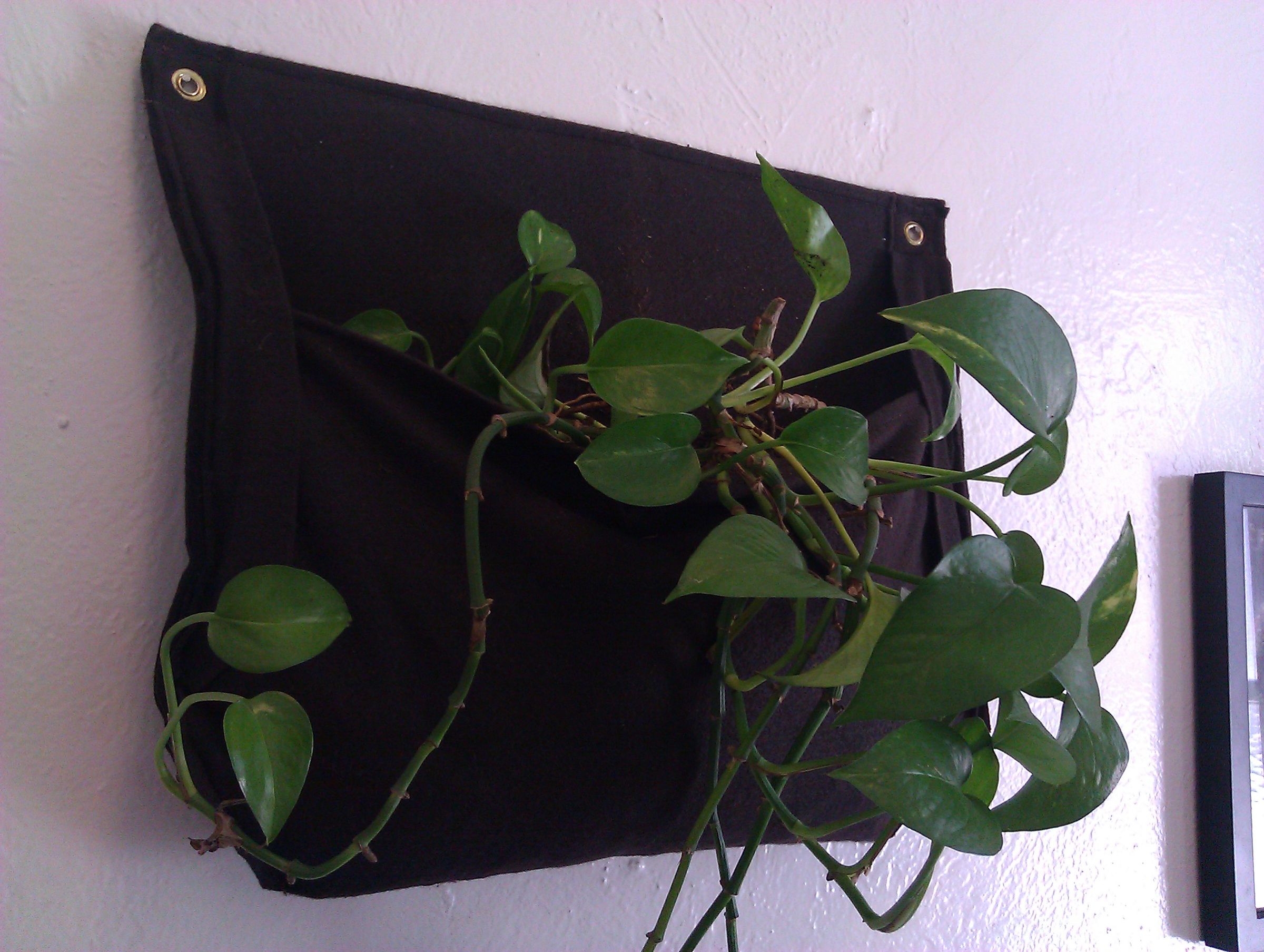 Hanging Plant Pocket 8 Steps (with Pictures) Instructables