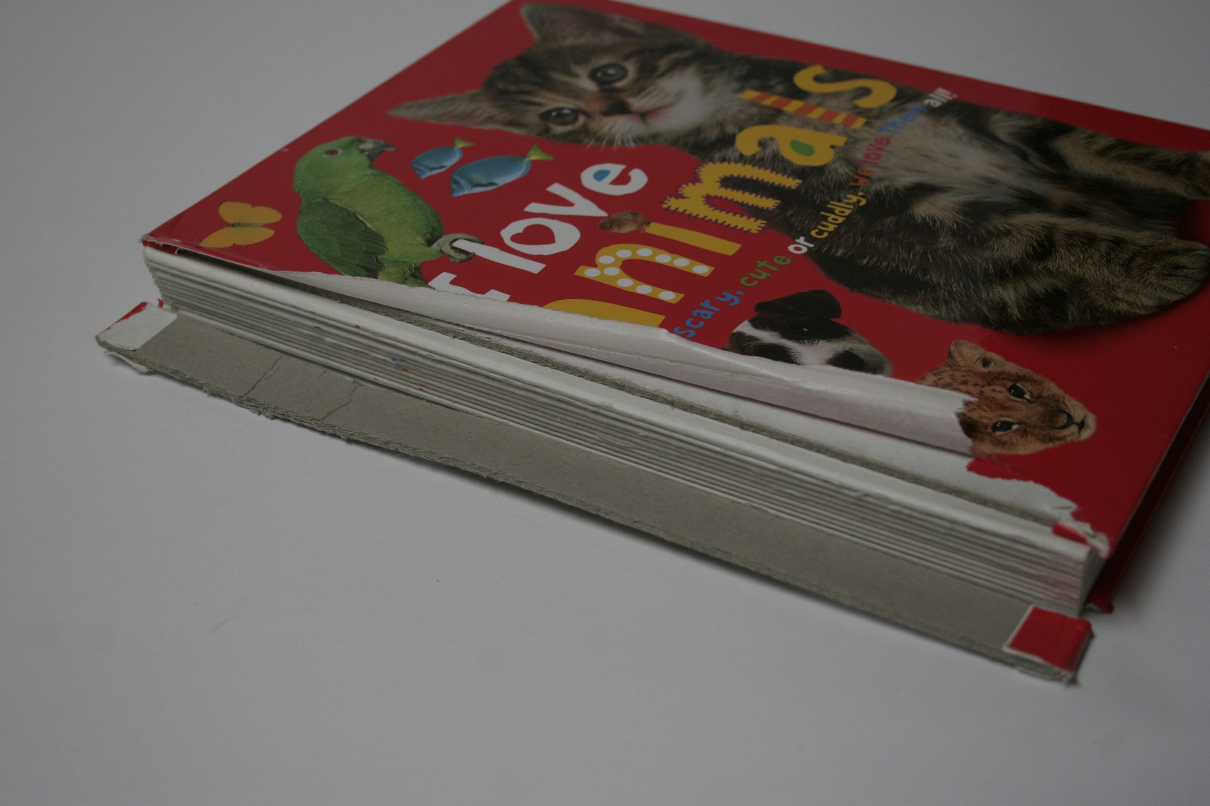 Simple Book Repair 5 Steps (with Pictures) Instructables