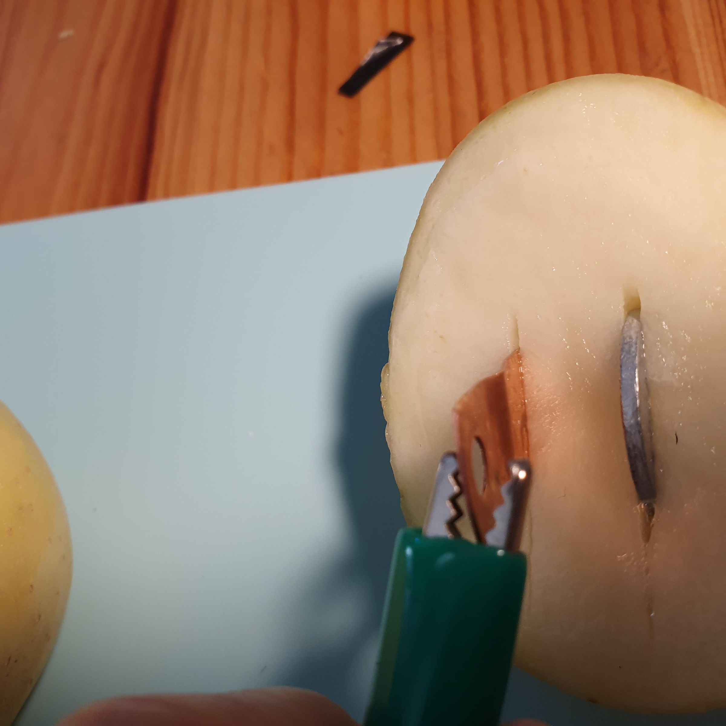 Add a Cable: Copper to Zinc - Between Potato Halves