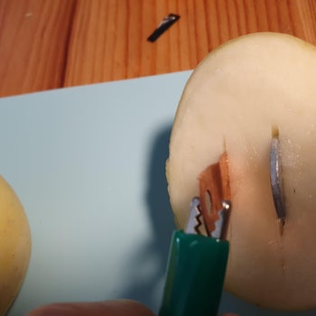 Add a Cable: Copper to Zinc - Between Potato Halves