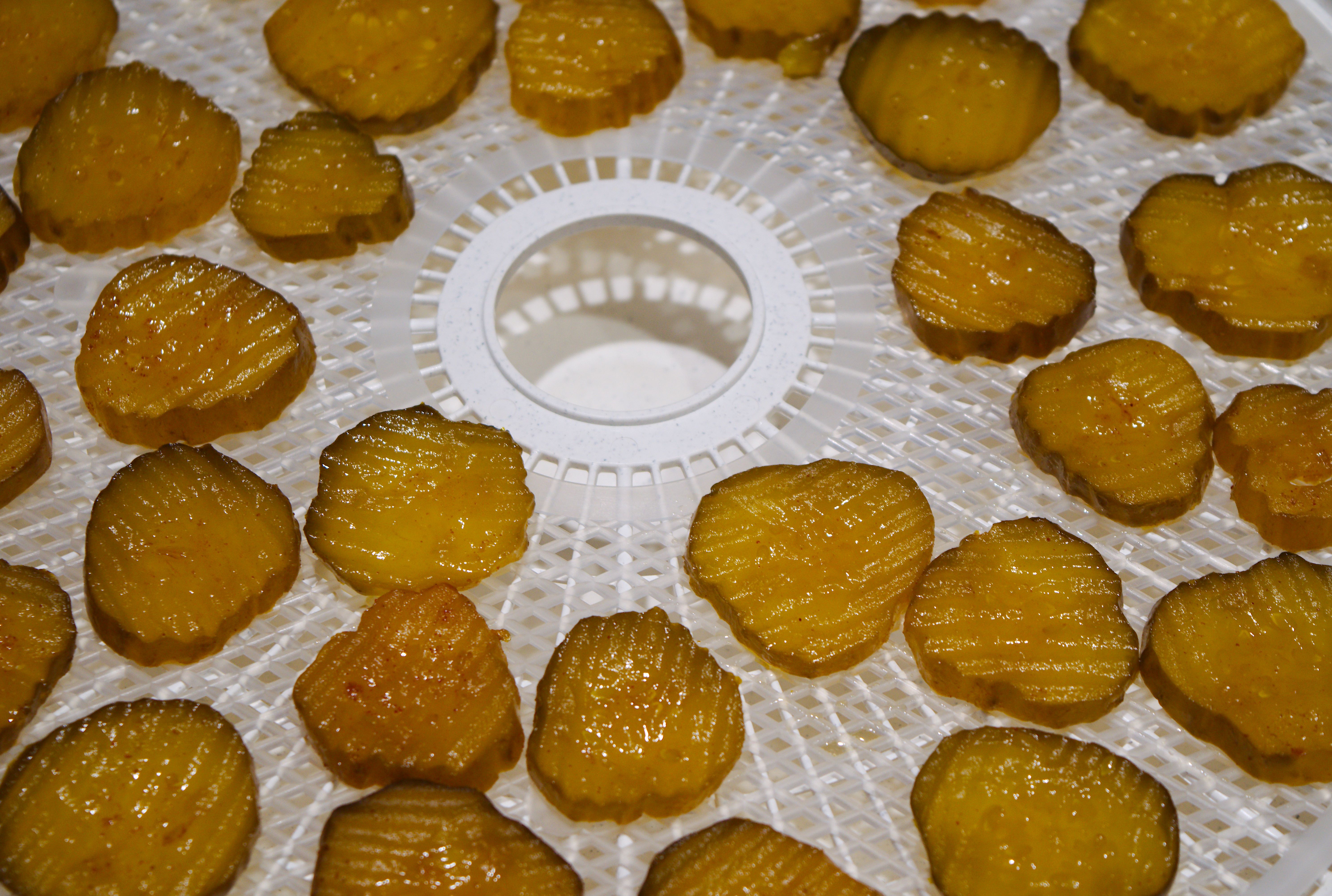 Dehydrator Pickle Chips 3 Steps Instructables