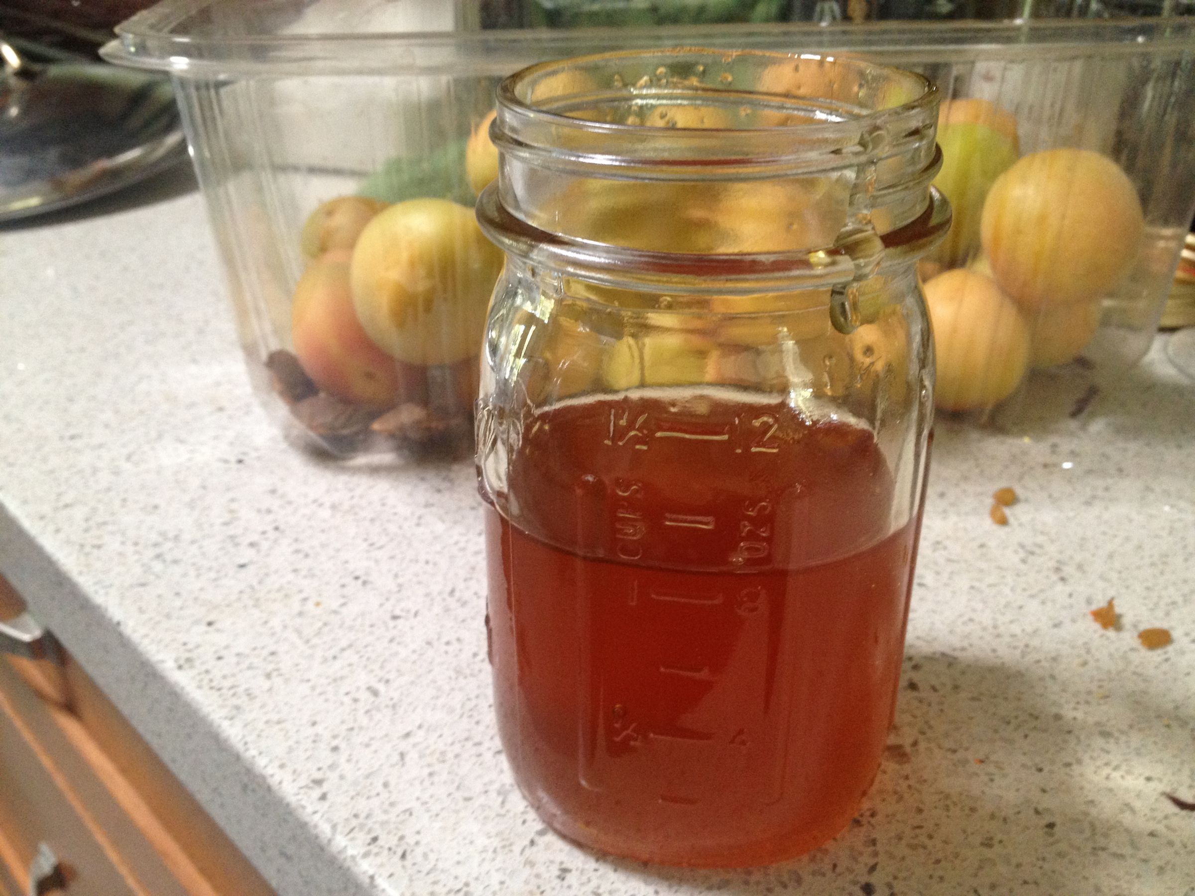 Honey Apricots 3 Steps Instructables