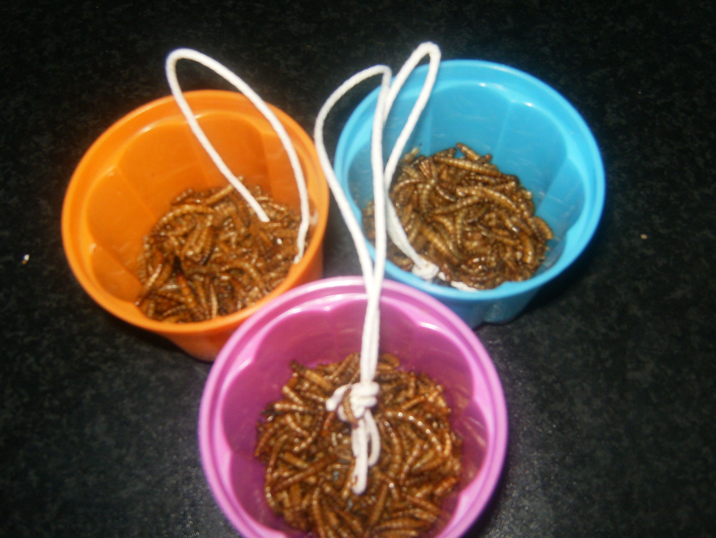 How to Make Fat Ball Bird Feeders 4 Steps (with Pictures) Instructables
