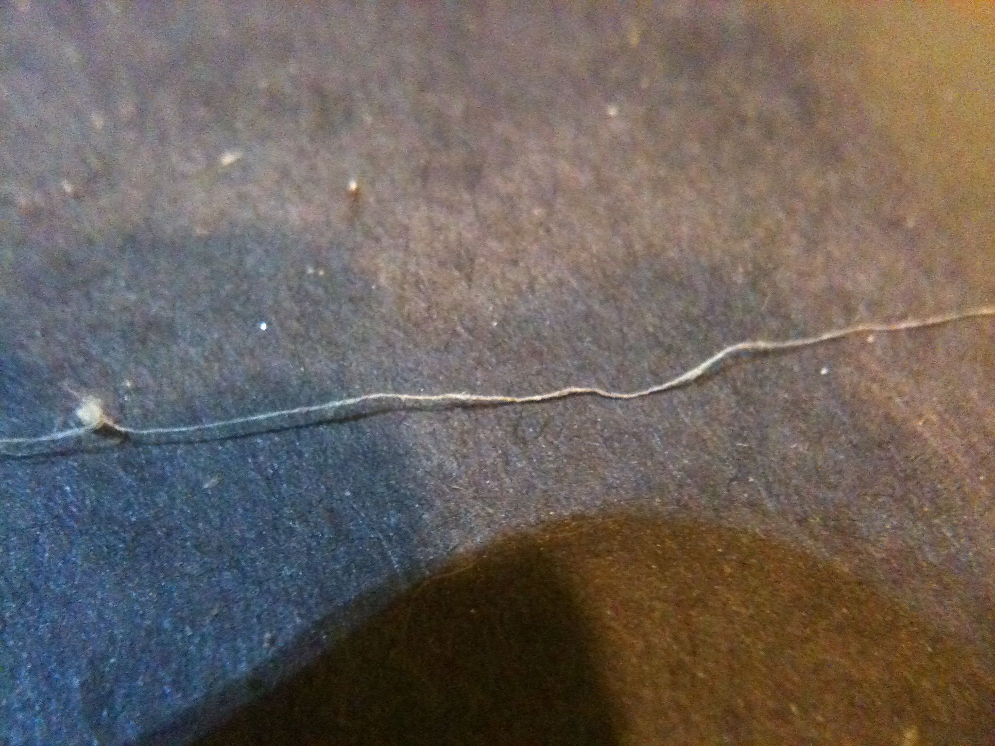 How to Make Spider Silk Thread 8 Steps (with Pictures) Instructables