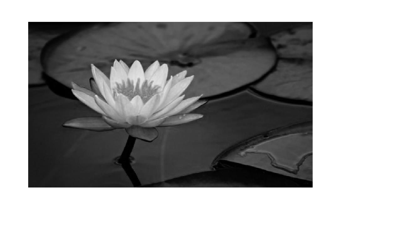 Simple Photoshop Effects