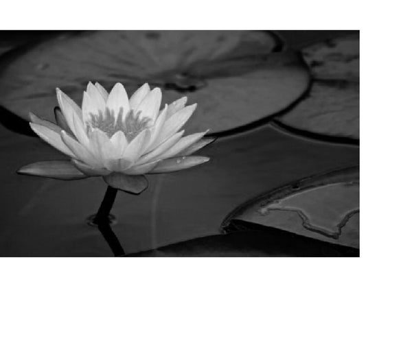 Simple Photoshop Effects