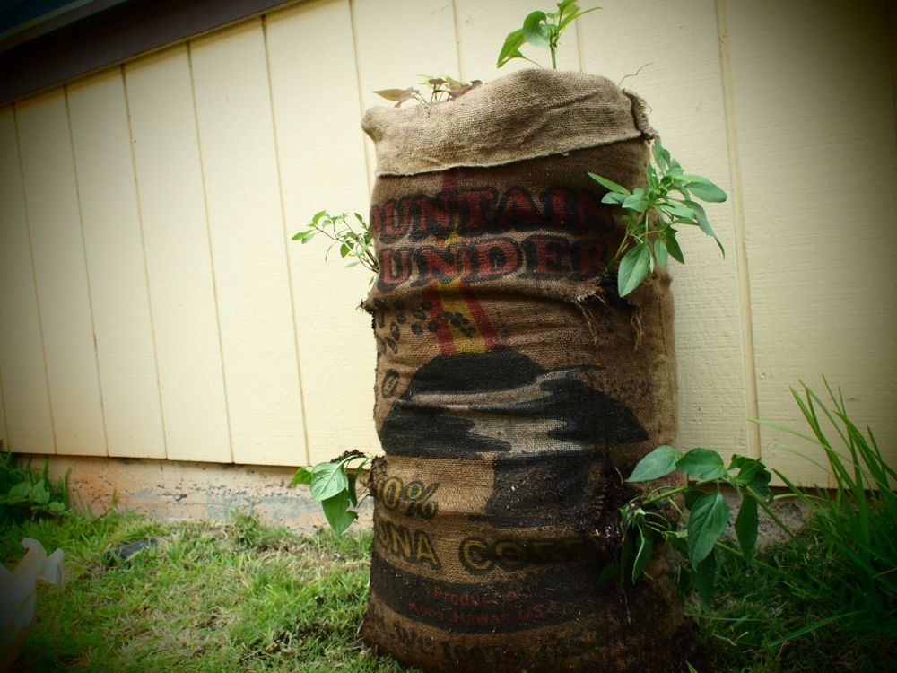 A Garden in a Sack