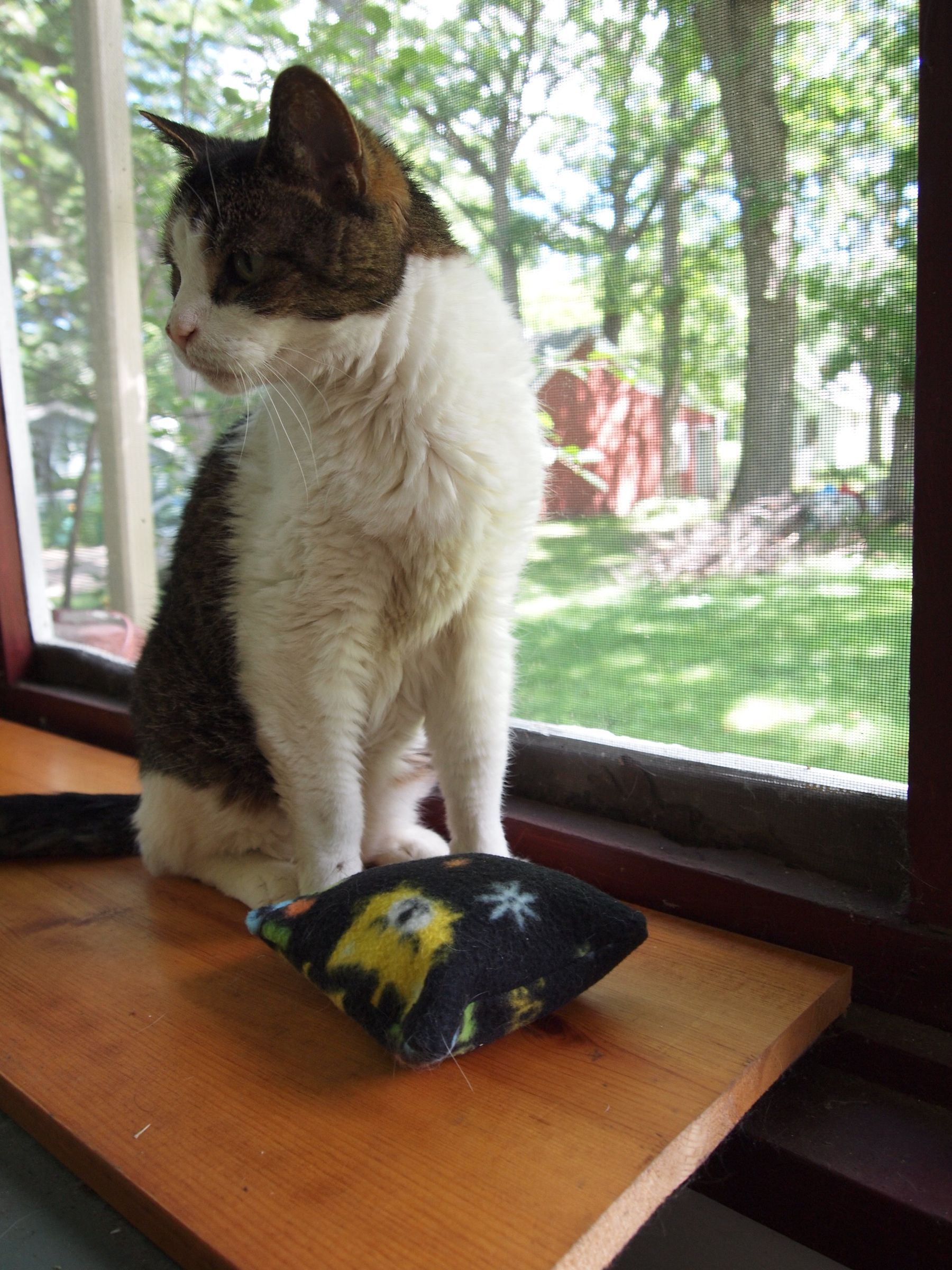 Catnip Pillows 3 Steps (with Pictures) Instructables