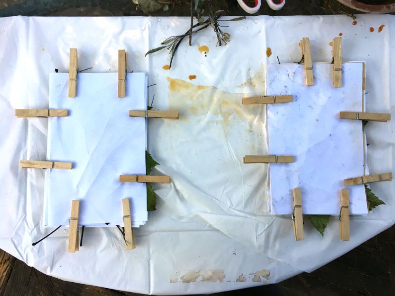 佈置葉子和花朵