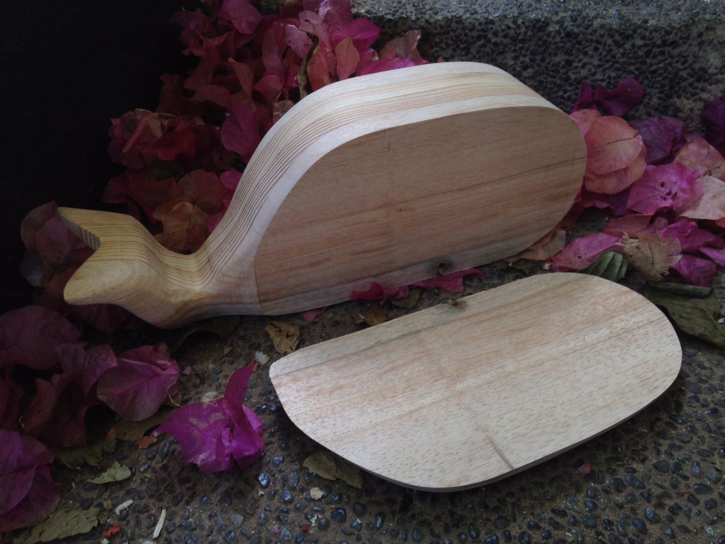 Bandsaw Box Whale 13 Steps (with Pictures) Instructables