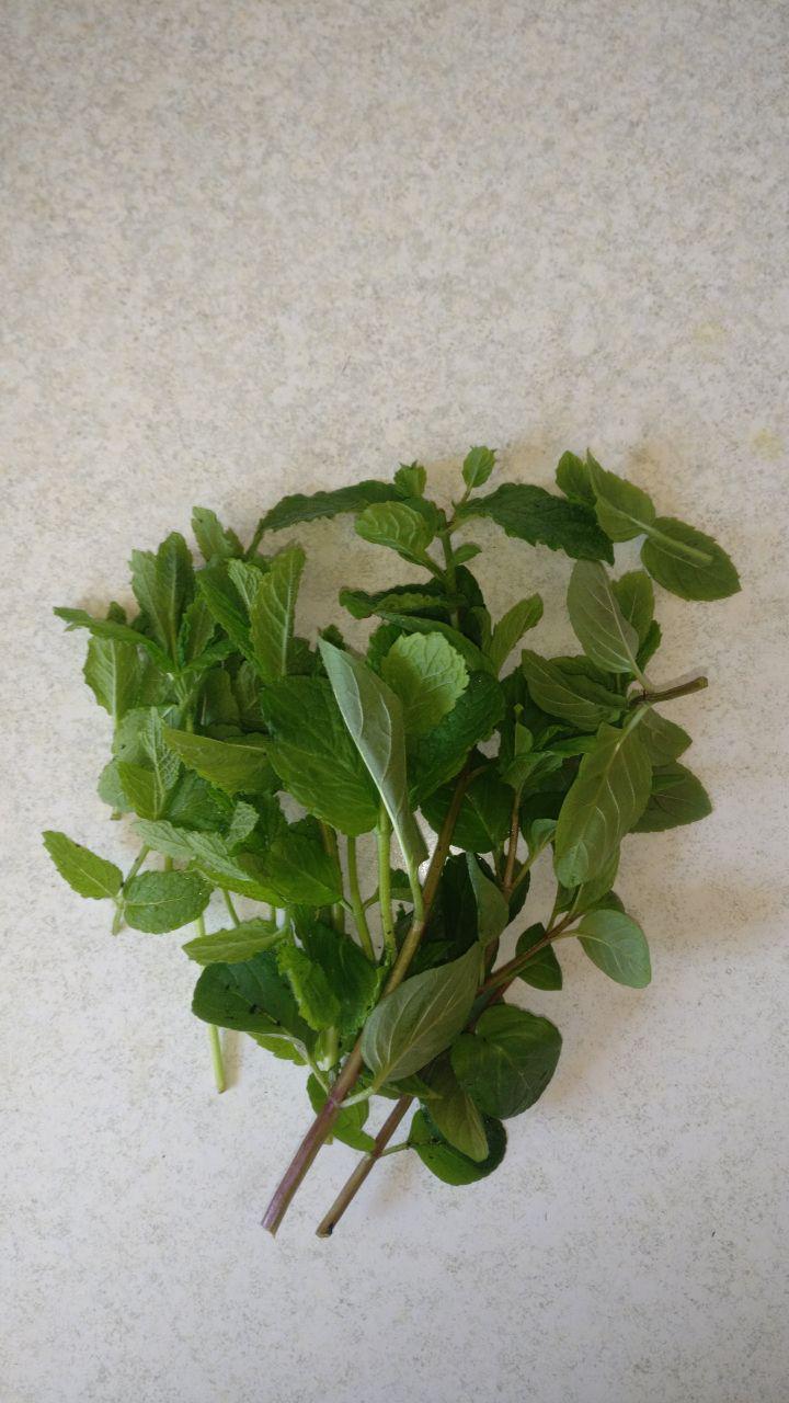 Mojito Rum/ Mint Extract From Fresh Mint 7 Steps Instructables