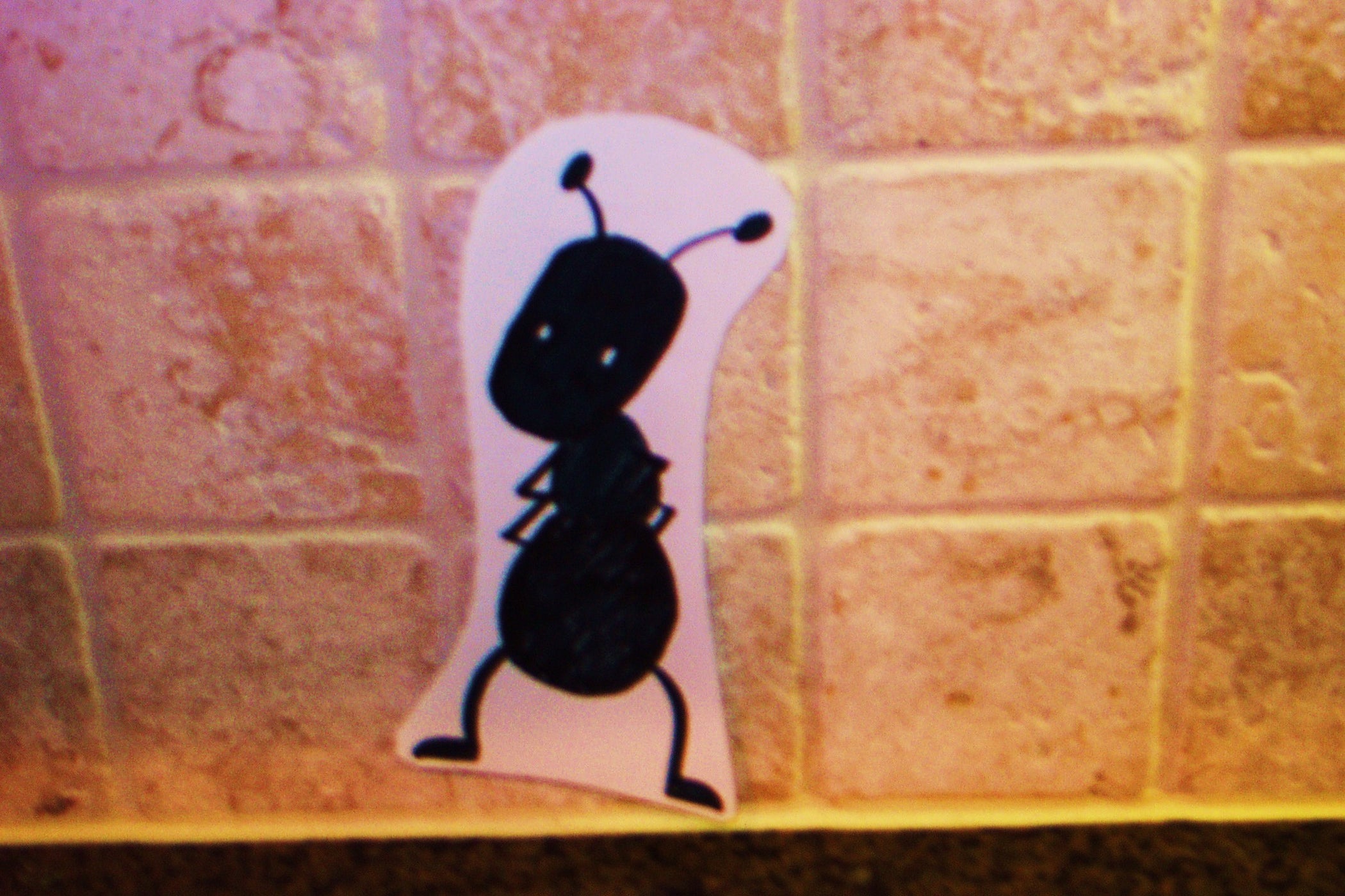 How to Get Rid of Ants 4 Steps Instructables