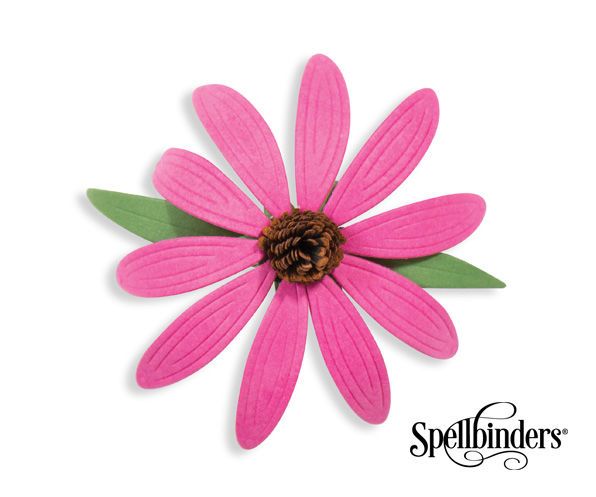 blooming echinacea DIY Project DIY Project Image