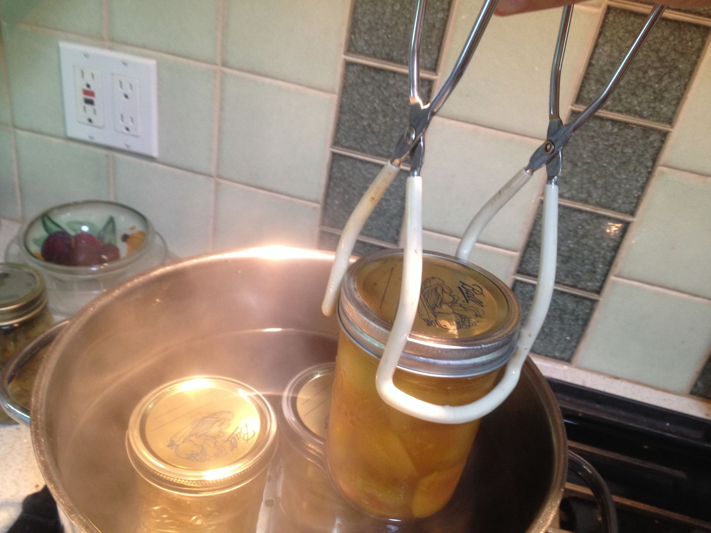 Honey Apricots 3 Steps Instructables