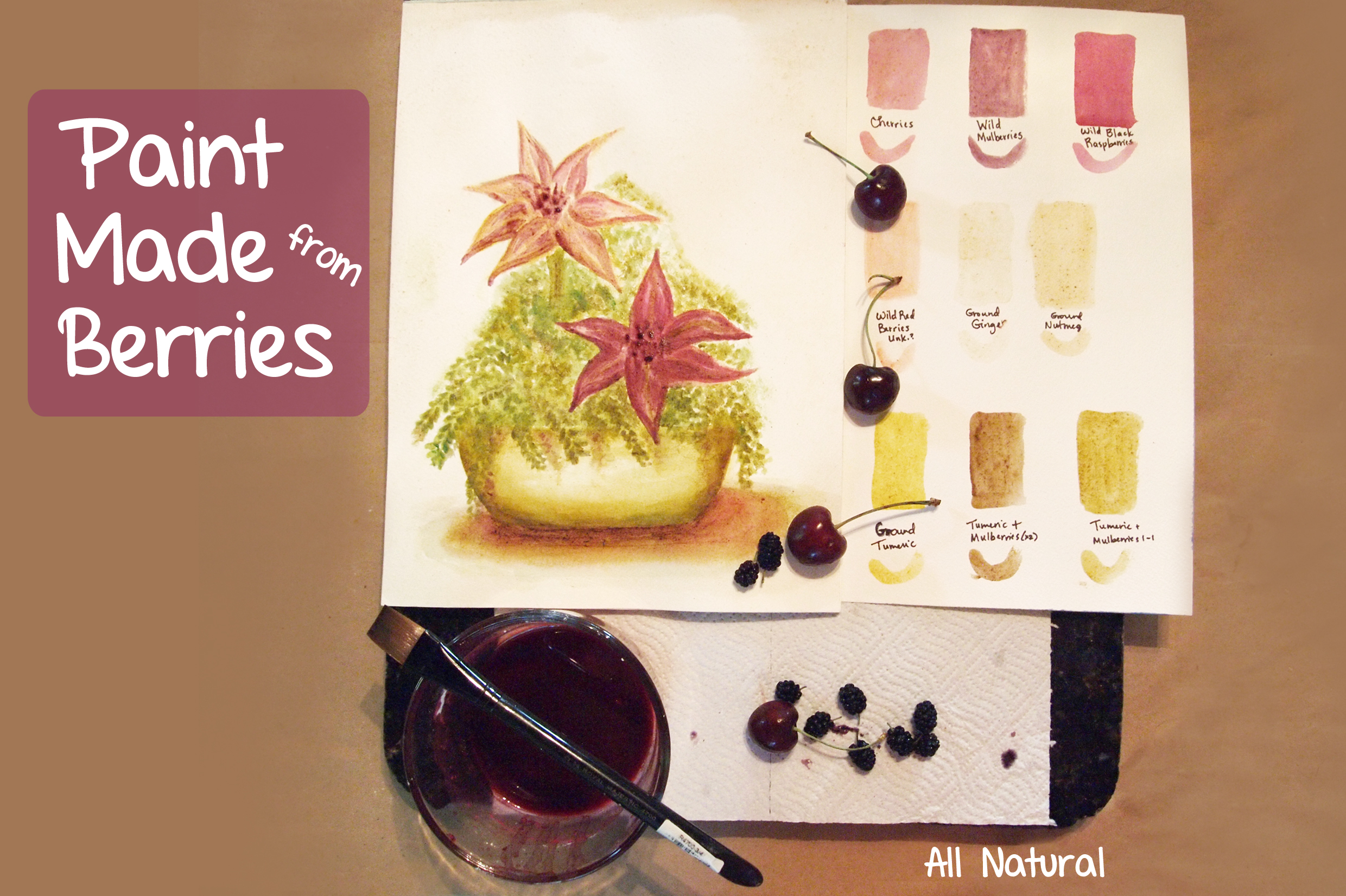 Paint Made From Berries & Nature 4 Steps (with Pictures) Instructables