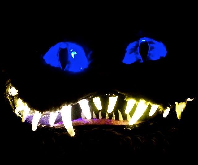 Cheshire Cat LED 9 Steps (with Pictures) Instructables