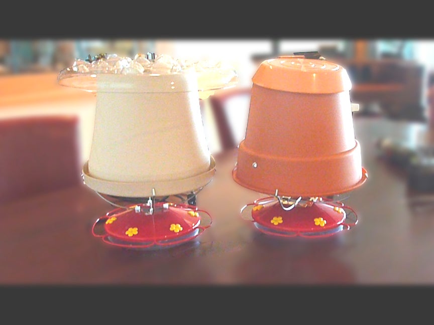 Winter Hummingbird Feeder, Warm and Bright in the Cold (with Pictures