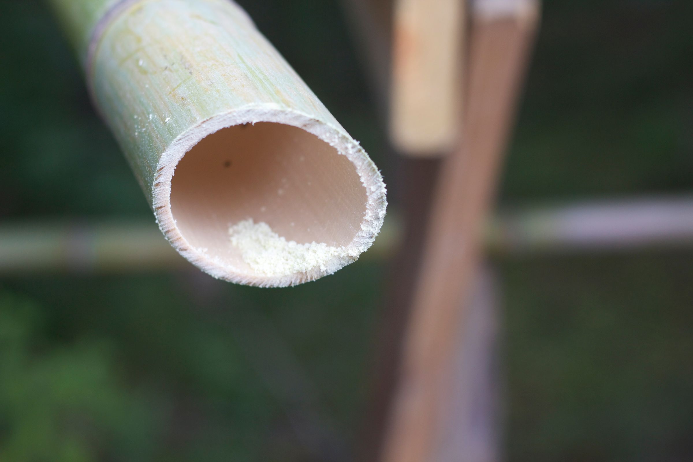 Clean, Chic Bamboo Cups 6 Steps (with Pictures) Instructables