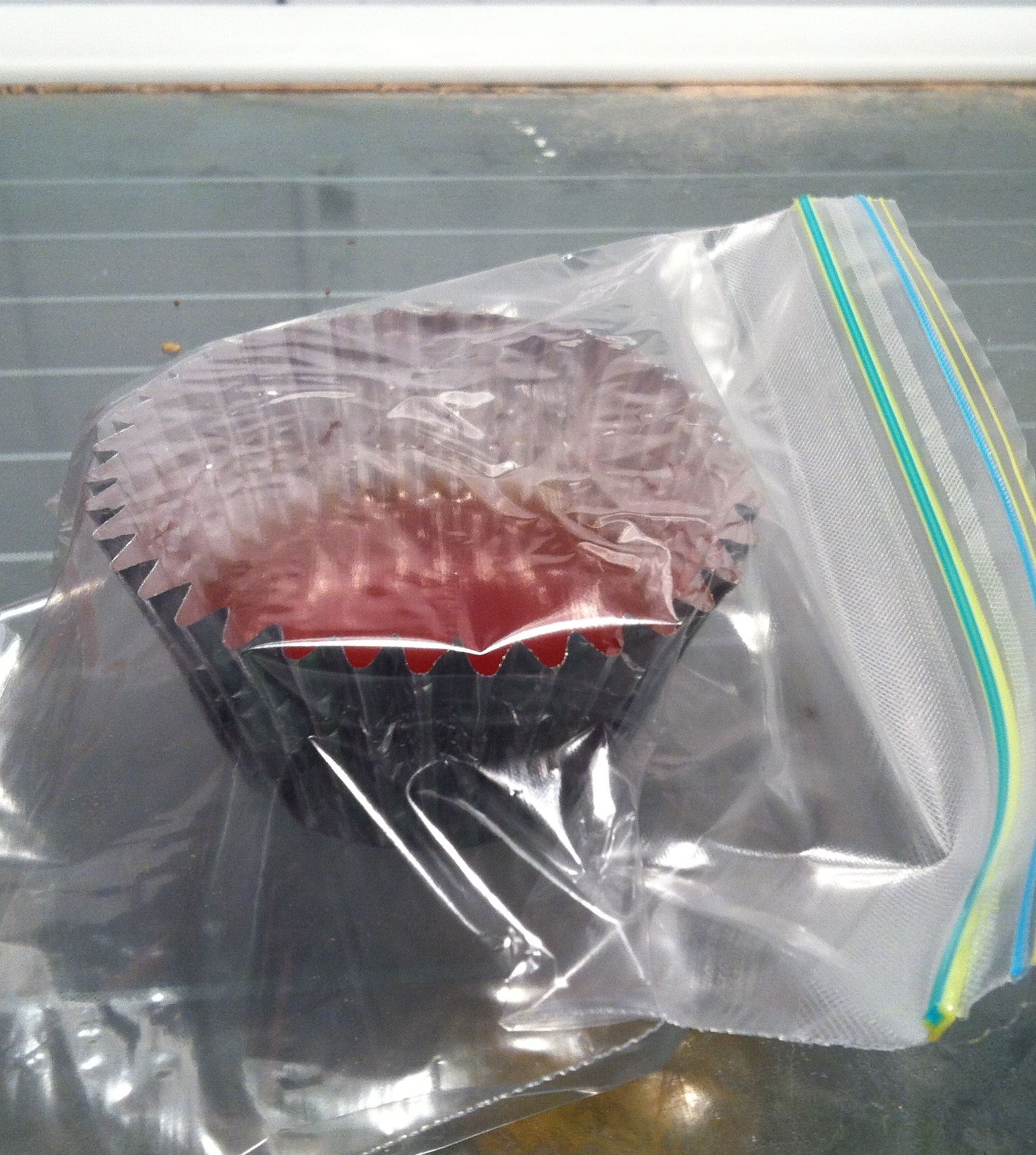 Homemade Gelatin Plates for Growing 7 Steps