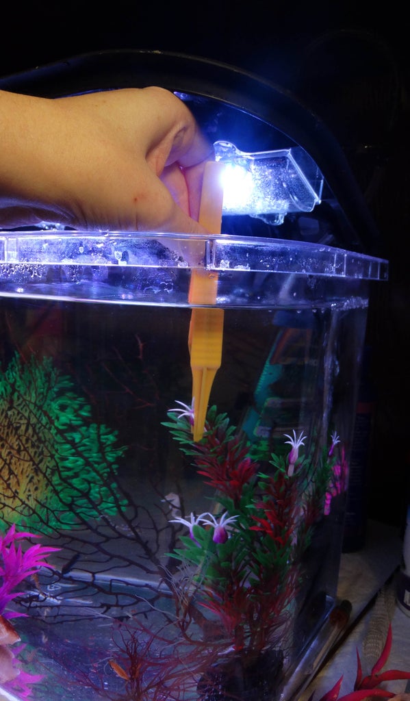Keeping Dwarf Seahorses 14 Steps With Pictures Instructables Keeping Dwarf Seahorses 14 Steps With Pictures Instructables