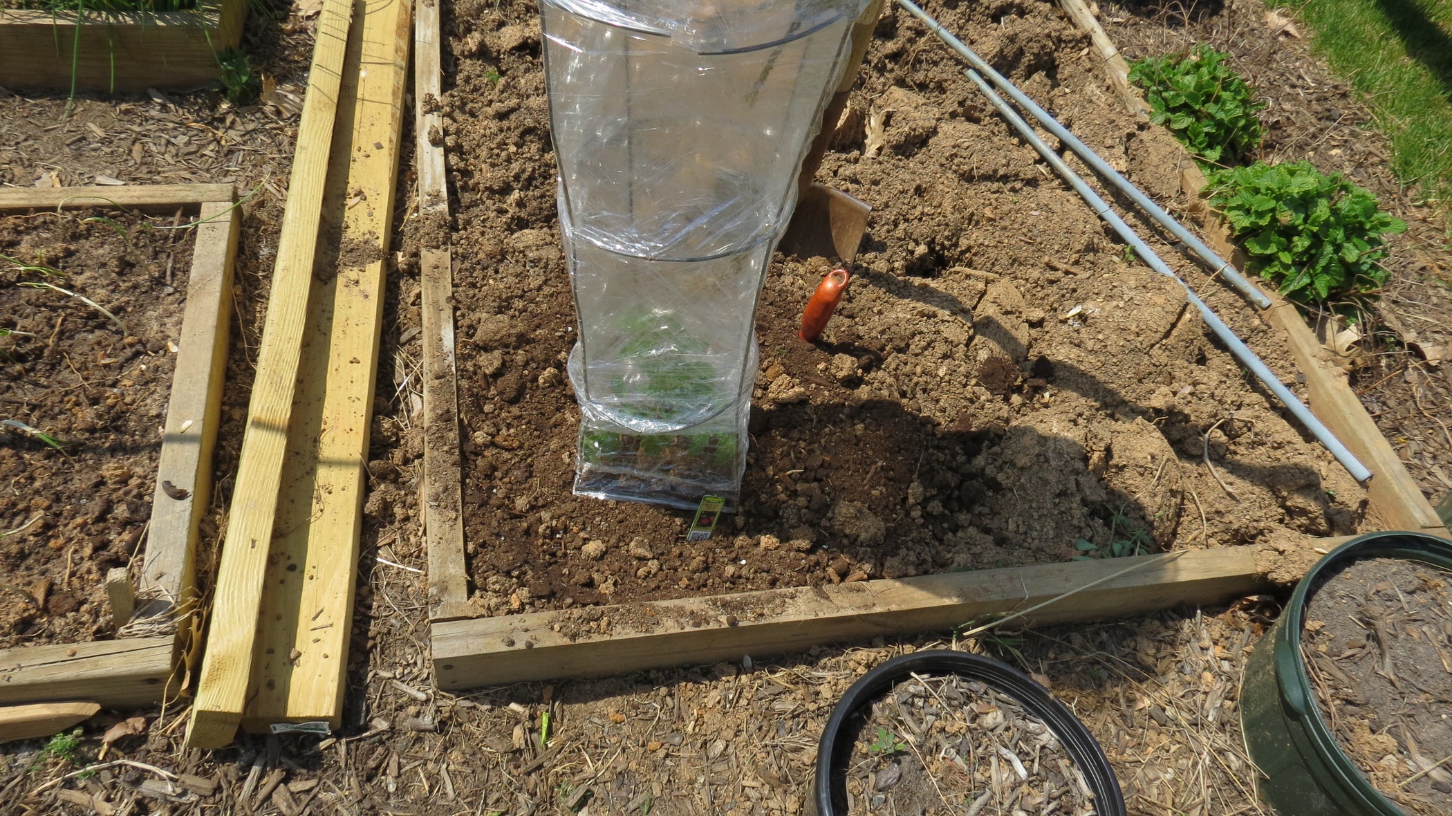 How to Quickly Build a HotHouse Tomato Cage 6 Steps Instructables