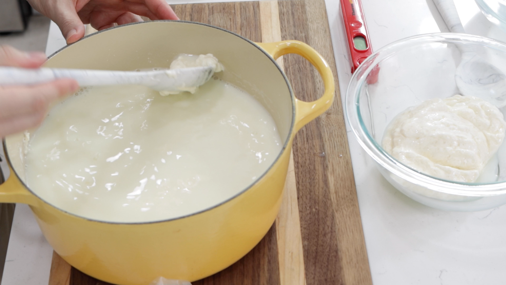 Homemade Mozzarella Cheese (Only 2 Ingredients!) 9 Steps (with