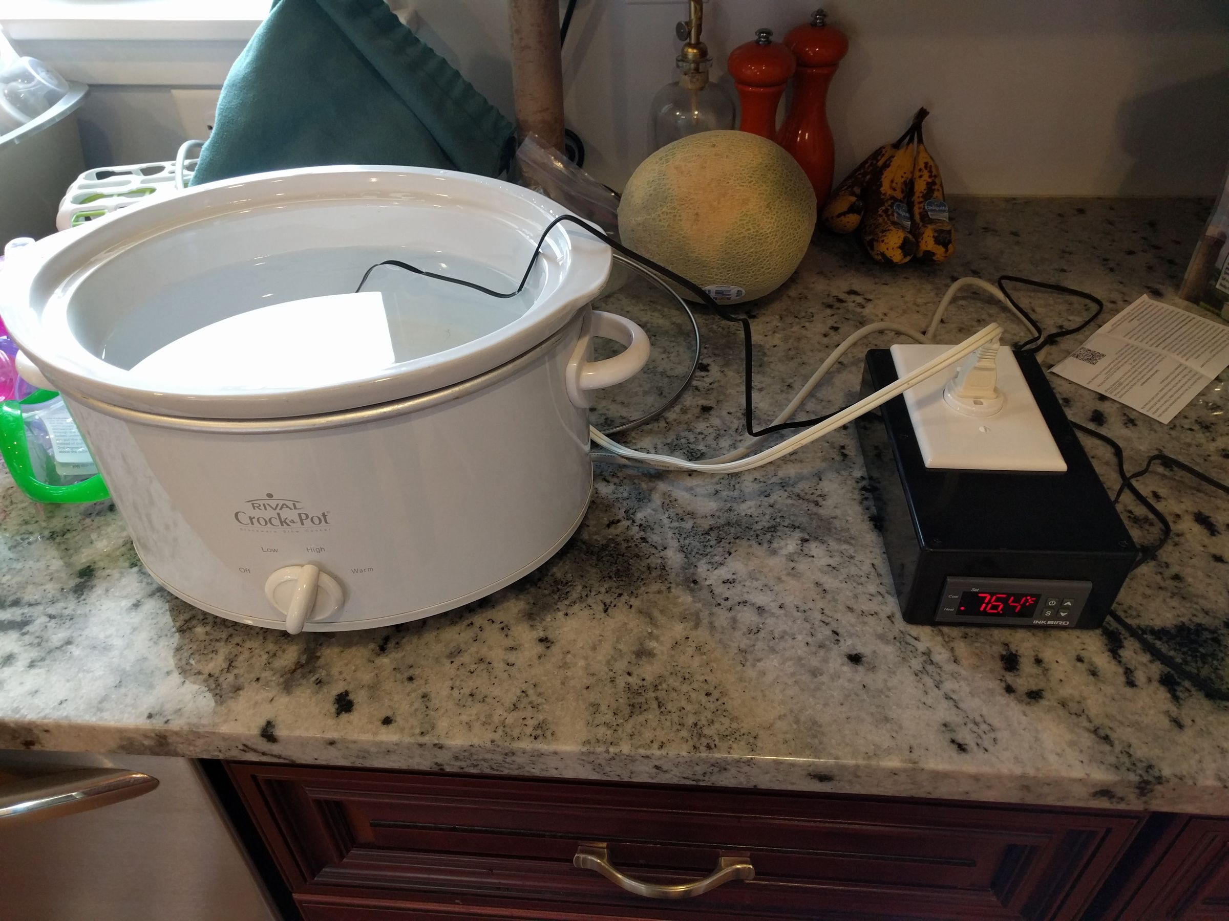 Sous Vide Cooker for Less Than $40