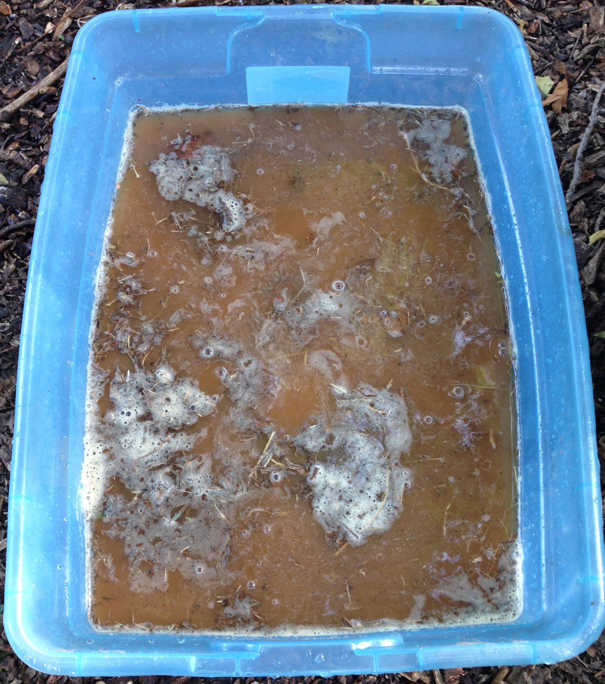 Harvesting Your Own Clay, Dirty But Delightful! 22 Steps (with