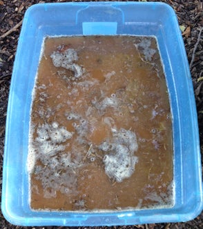 Going for Bulk - Colete e mergulhe a argila na água...