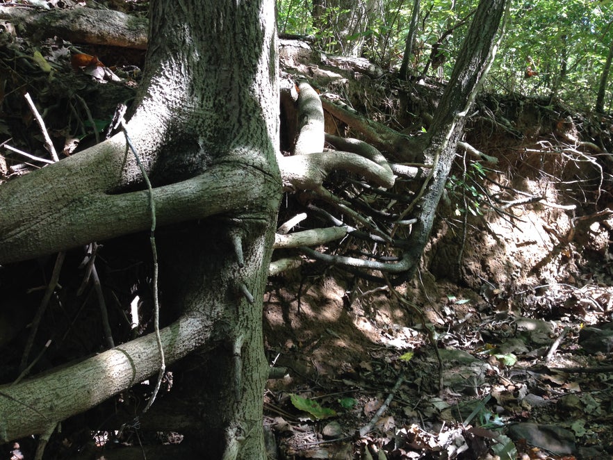 Encontre uma fonte de argila natural...