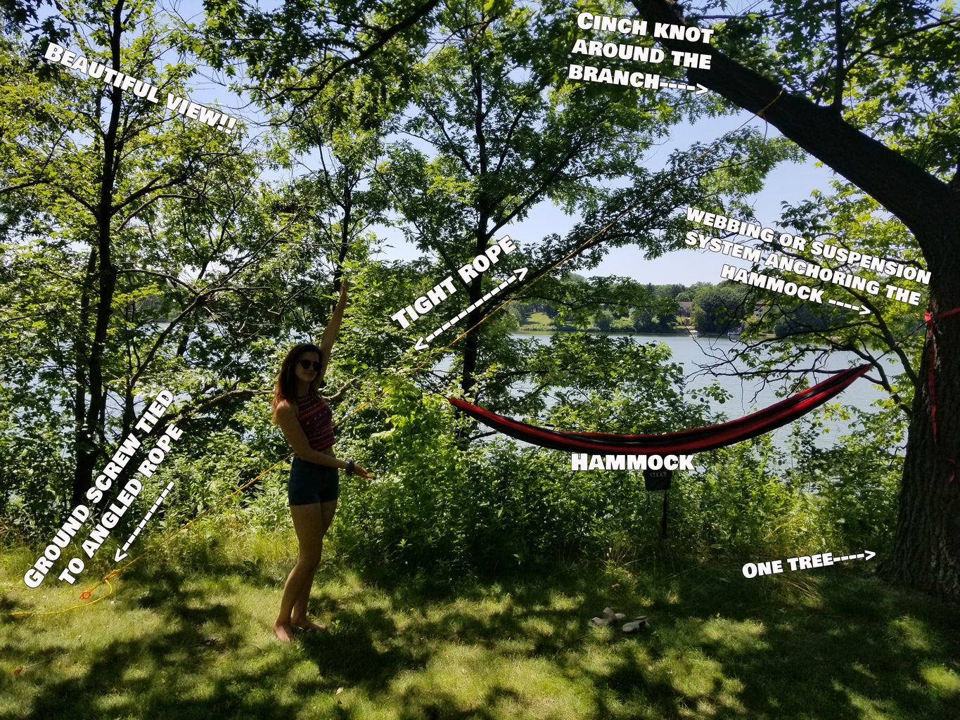 Single tree hammock Clearance