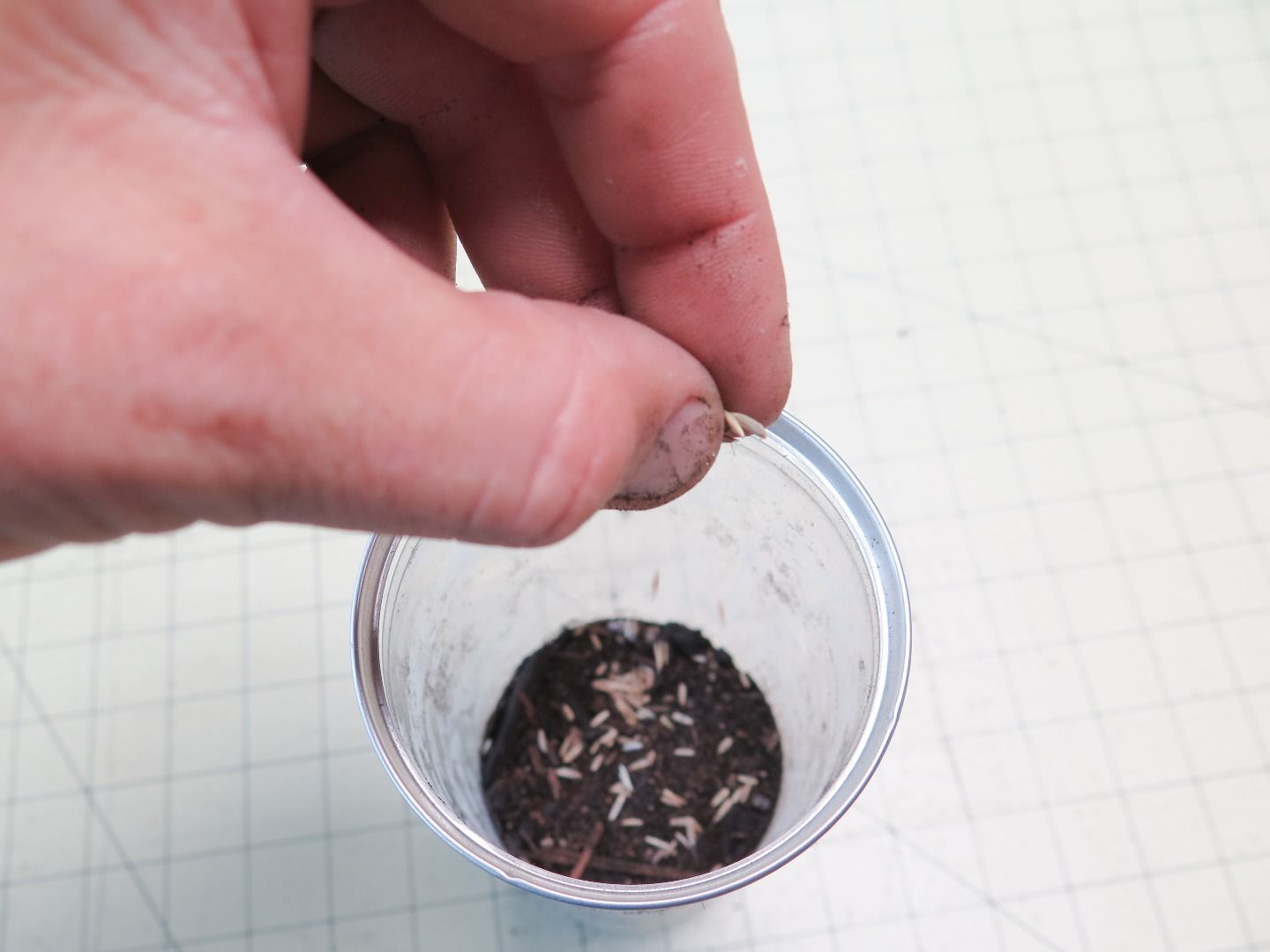 SelfWatering Terrarium! 7 Steps (with Pictures) Instructables