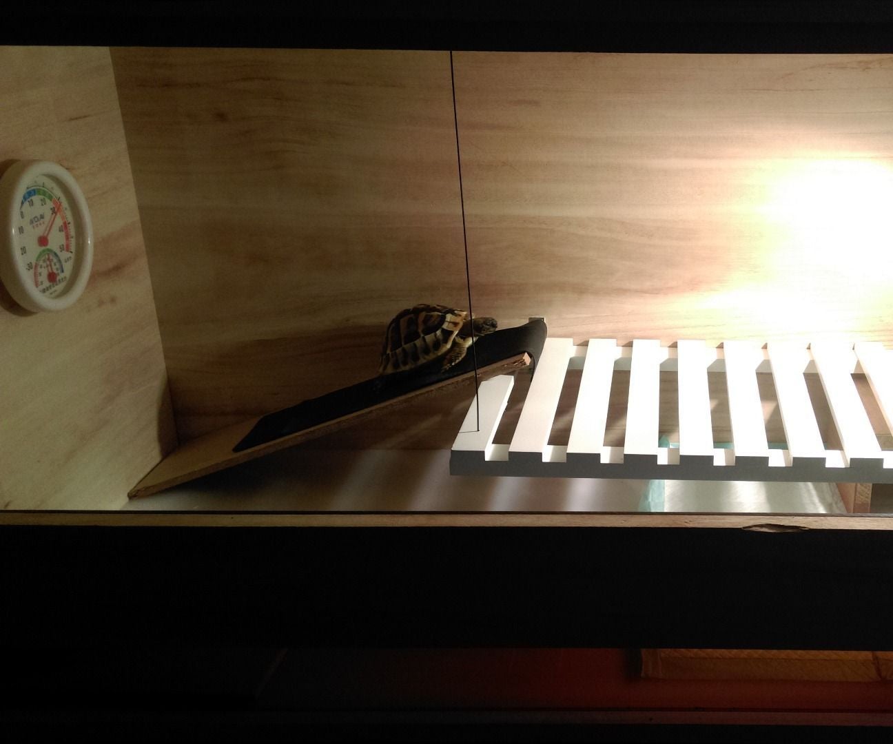 Tortoise's Floating Apartment 5 Steps (with Pictures) Instructables