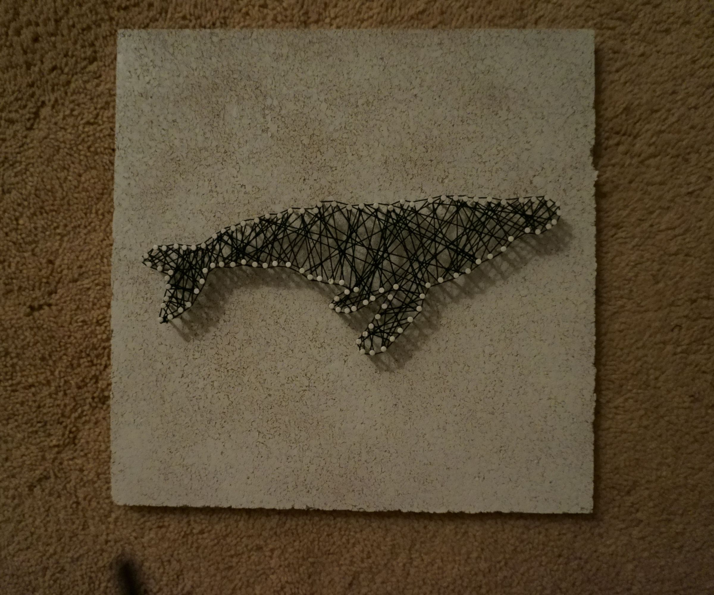 DIY String Art Picture