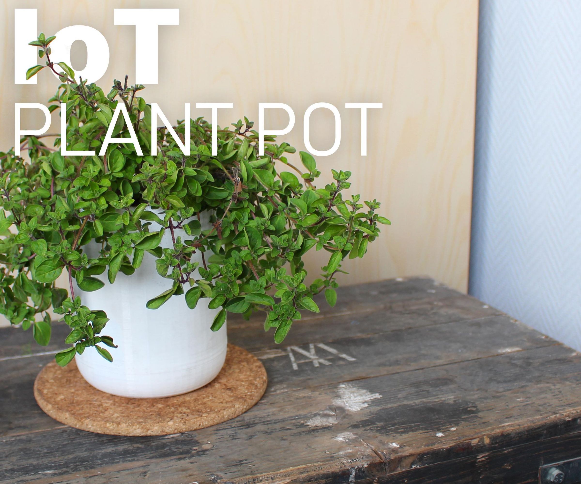 IoT Plant Pot : 8 Steps (with Pictures) - Instructables