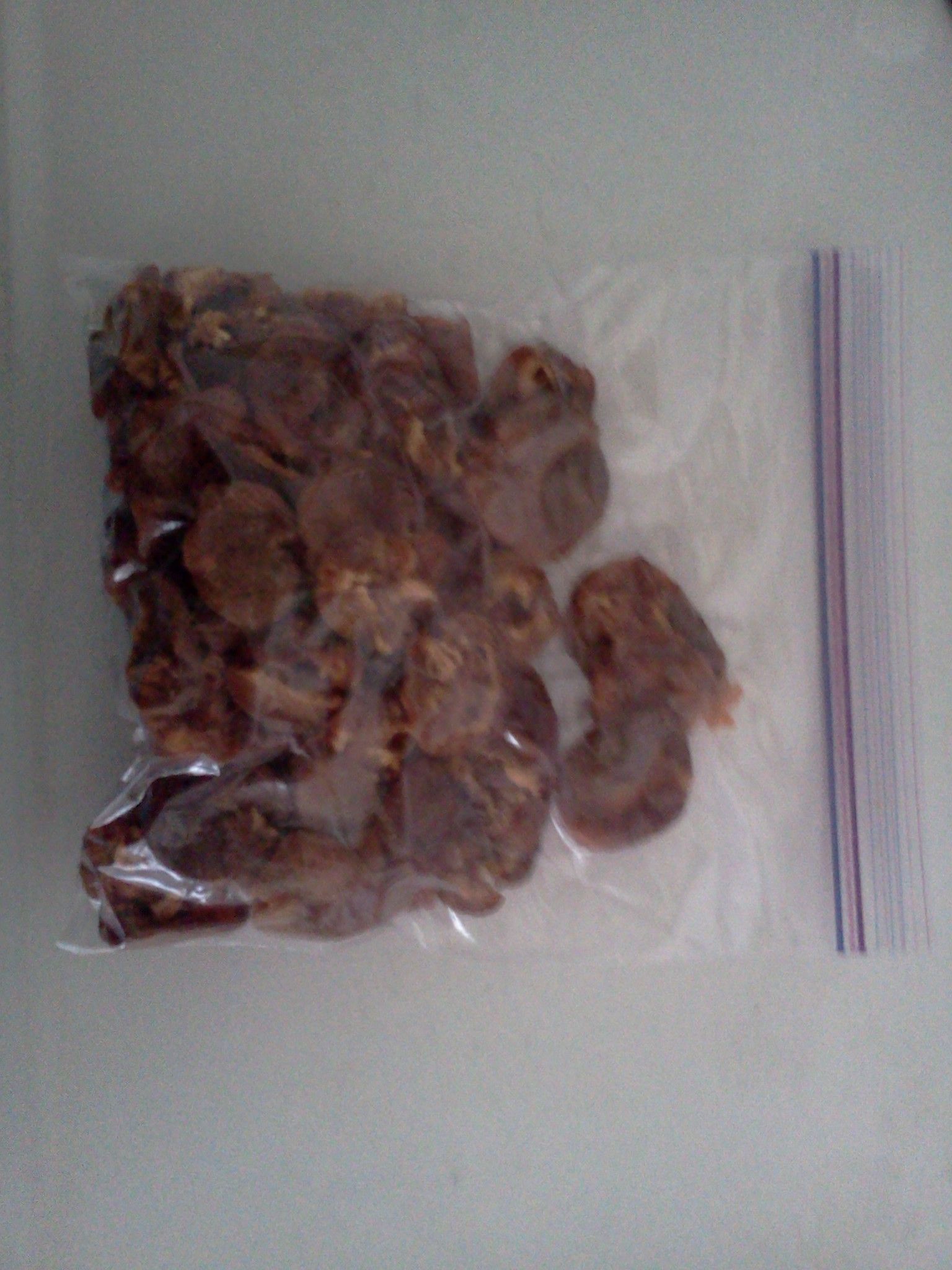 Dehydrating Apricots 4 Steps (with Pictures) Instructables