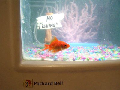 Turn Your Old CRT Computer Monitor Into a Fish Tank ! ! ! : 11 Steps ...